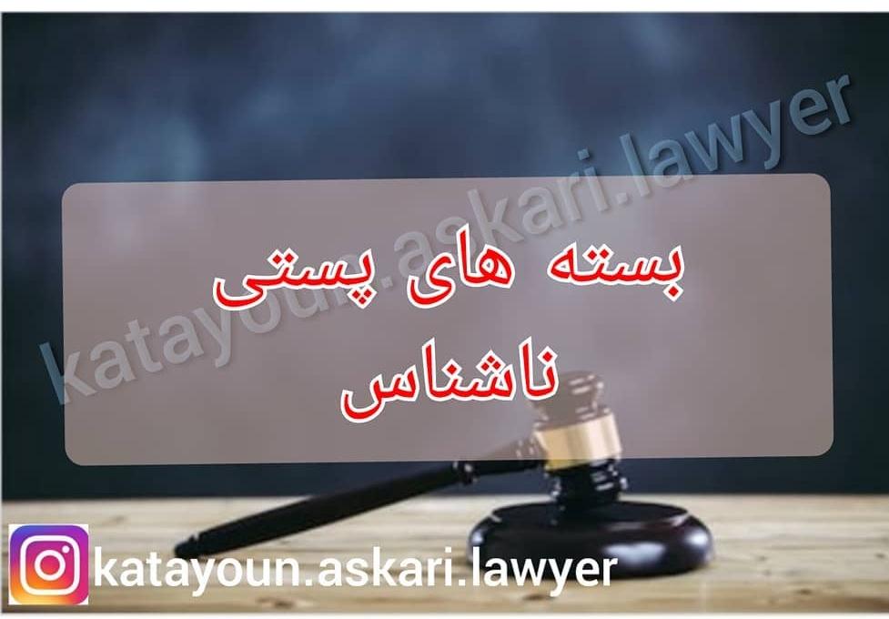 تجربه و تخصص